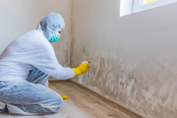 Commercial Mold Remediation assessment for commercial property in Cambridge